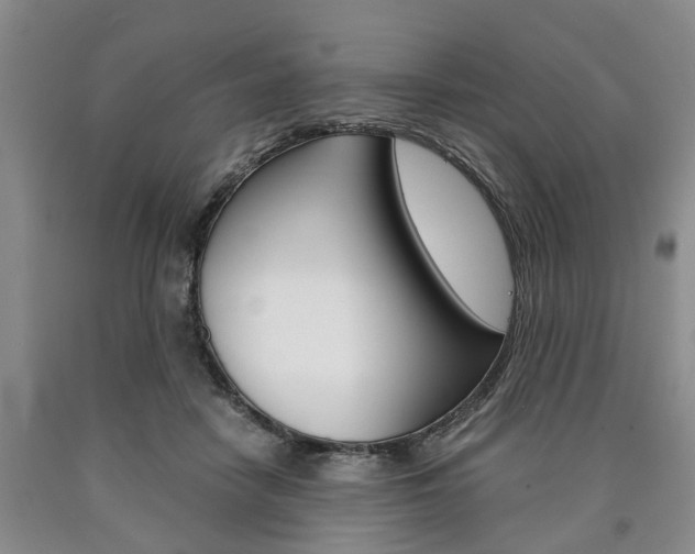 X0000090860458200707270937