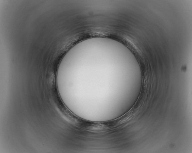 X0000090860459200707270937