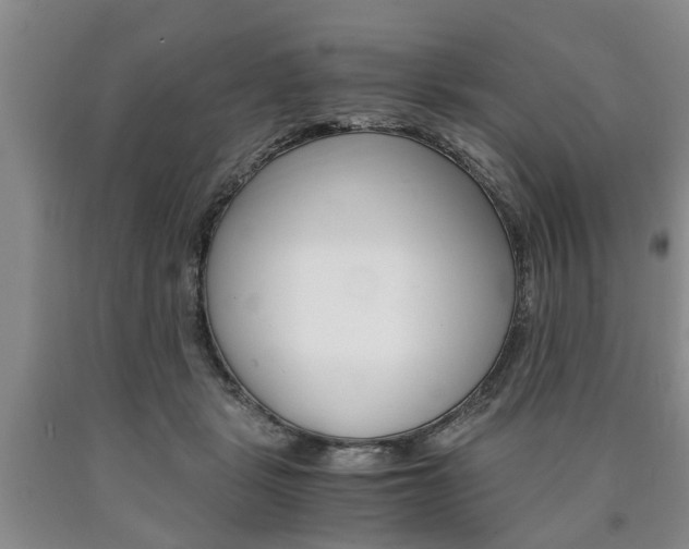 X0000090860461200707270937