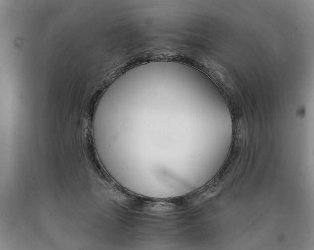 X0000090860463200707270937