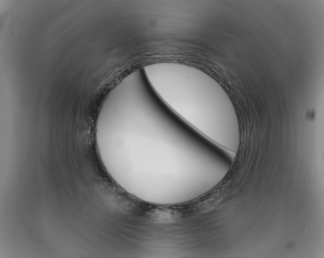 X0000090860464200707270937