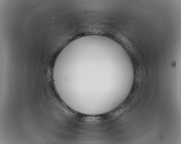 X0000090860465200707270937