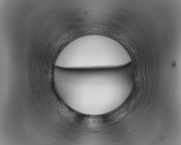 X0000090860466200707270937