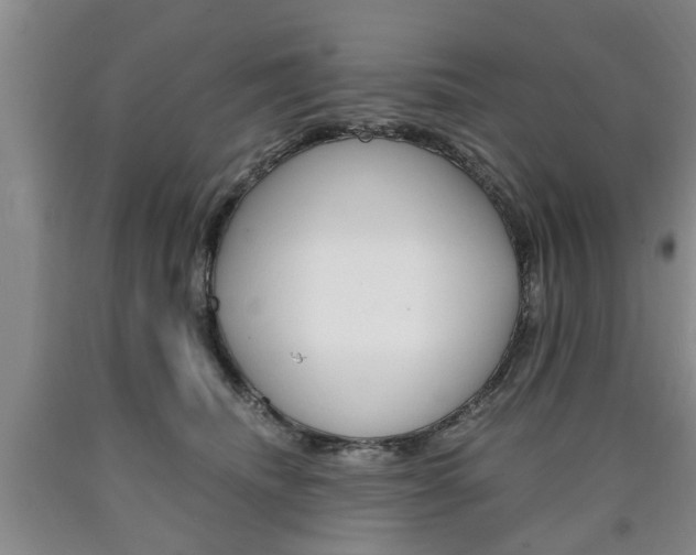 X0000090860468200707270937