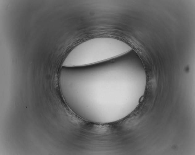 X0000090860469200707270937