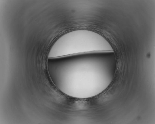X0000090860470200707270937