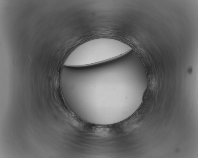 X0000090860471200707270937
