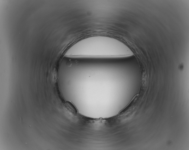X0000090860474200707270937