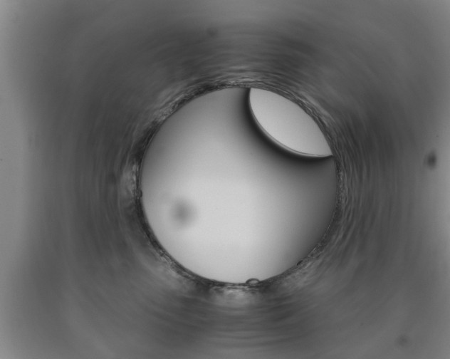 X0000090860475200707270937