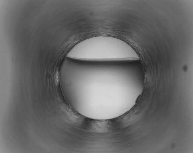X0000090860479200707270937