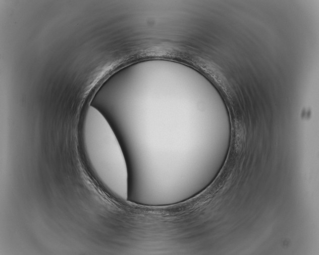 X0000090860482200707270937