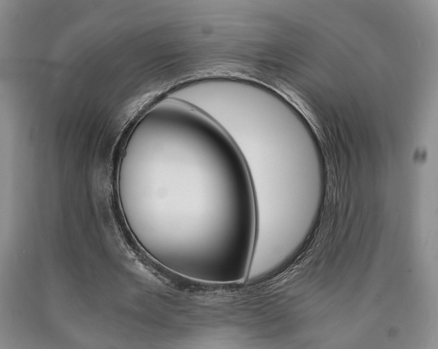X0000090860485200707270937