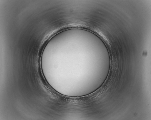 X0000090860486200707270936