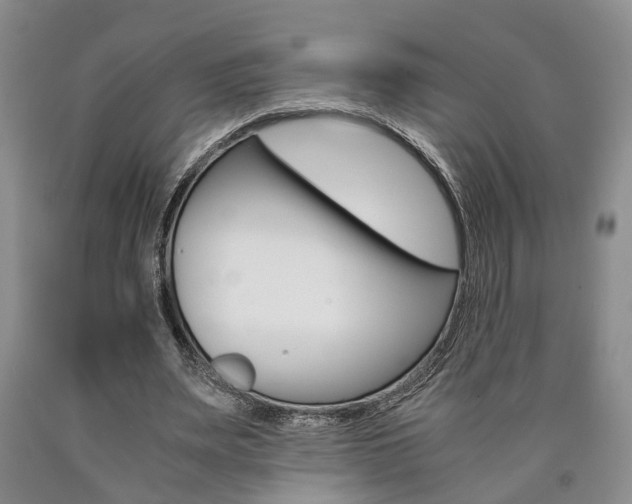 X0000090860487200707270936