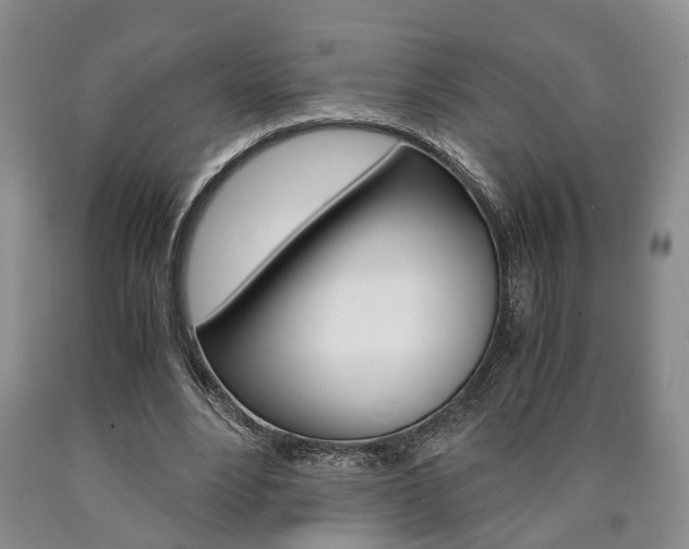 X0000090860488200707270936