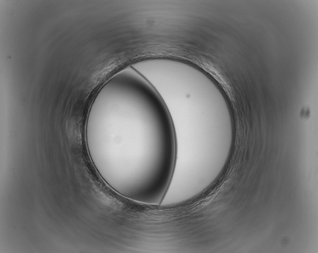 X0000090860489200707270936