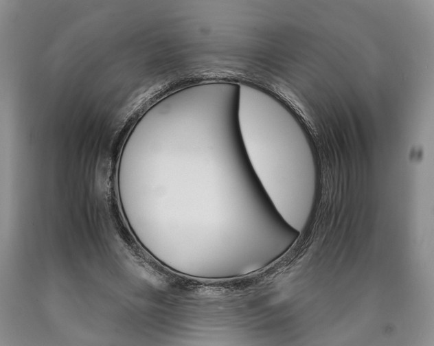 X0000090860490200707270936