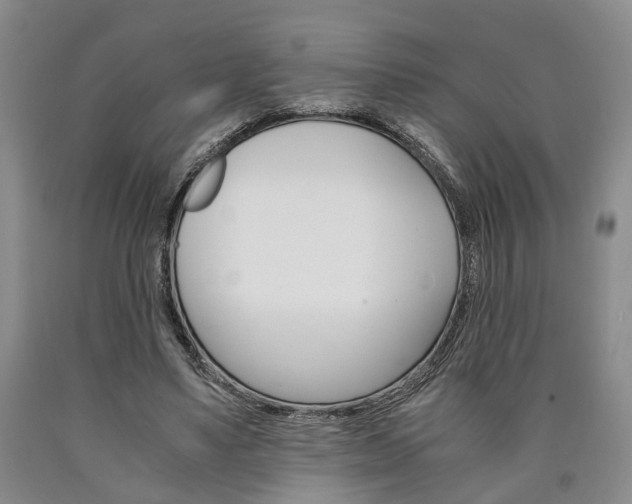 X0000090860491200707270936