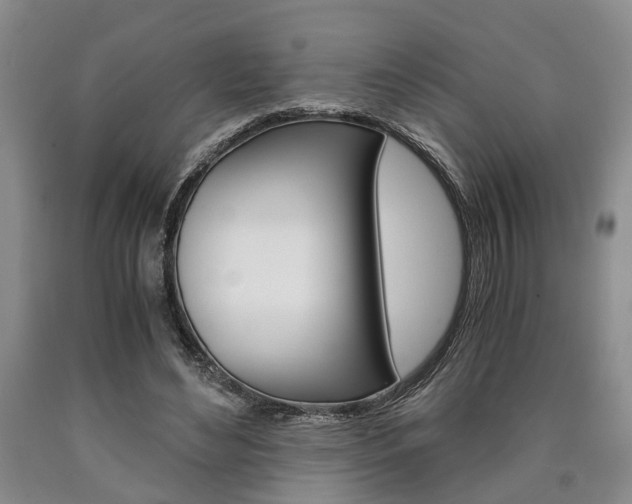 X0000090860492200707270936