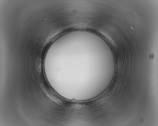 X0000090860494200707270936