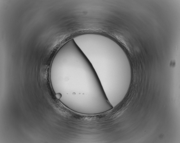 X0000090860495200707270936