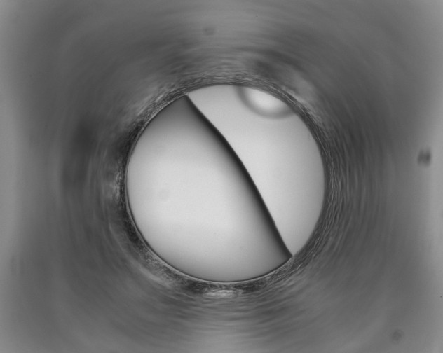 X0000090860499200707270936