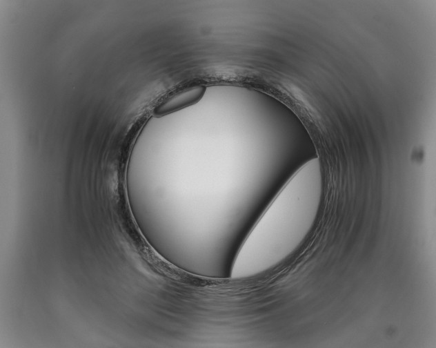 X0000090860500200707270936