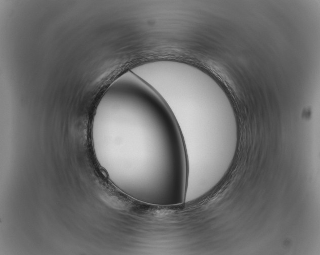 X0000090860501200707270936