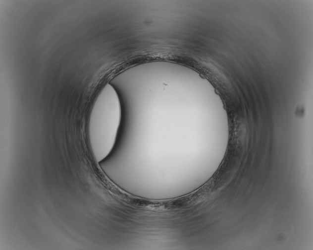 X0000090860502200707270936