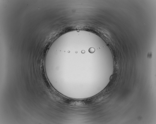 X0000090860503200707270936