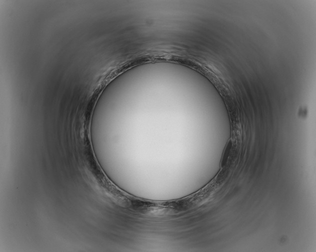 X0000090860504200707270936