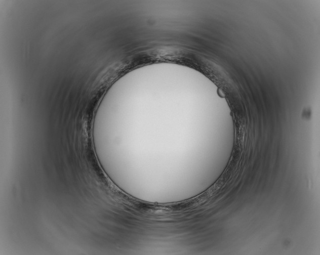 X0000090860506200707270936