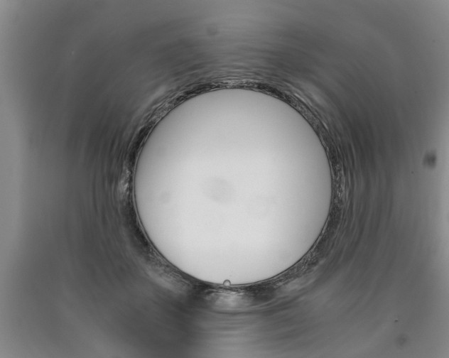 X0000090860507200707270936