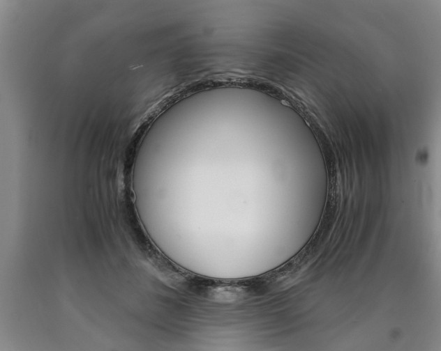 X0000090860508200707270936