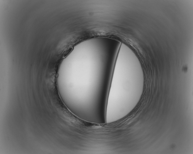 X0000090860509200707270936