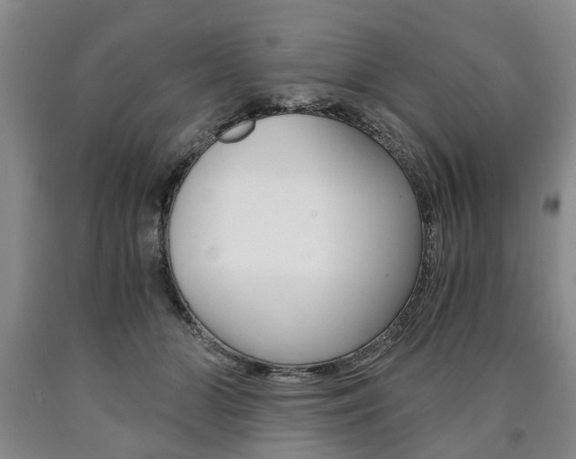 X0000090860510200707270936