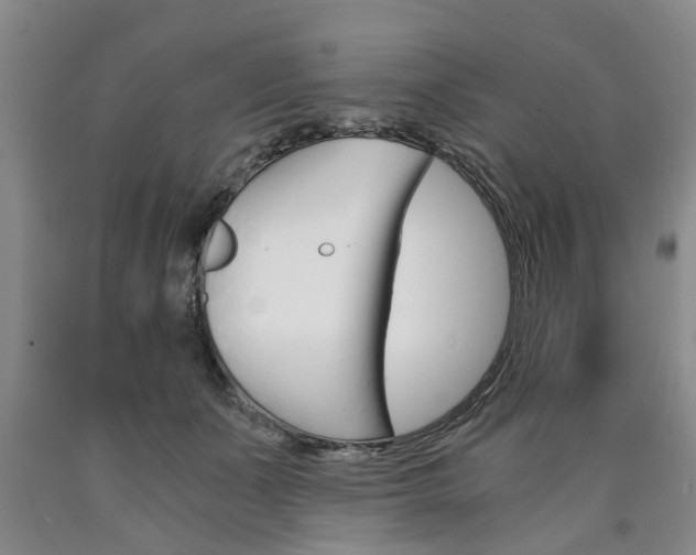 X0000090860511200707270936