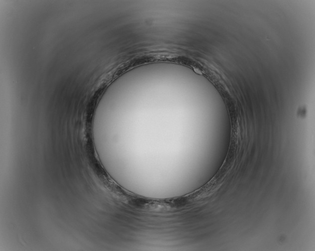 X0000090860512200707270936