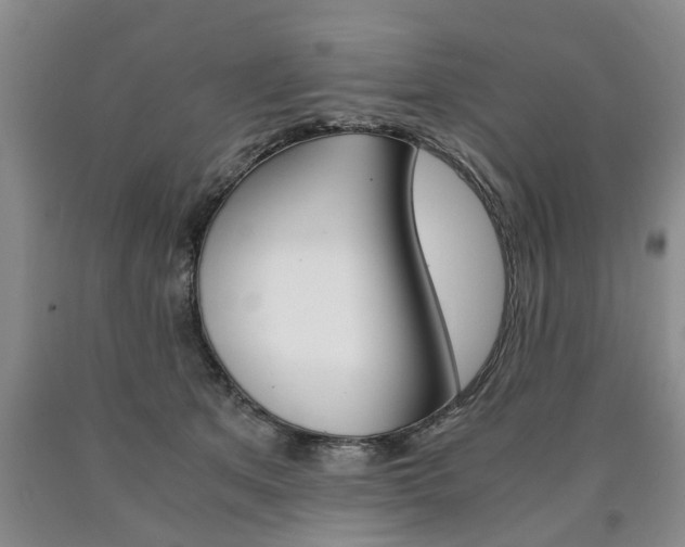 X0000090860513200707270936