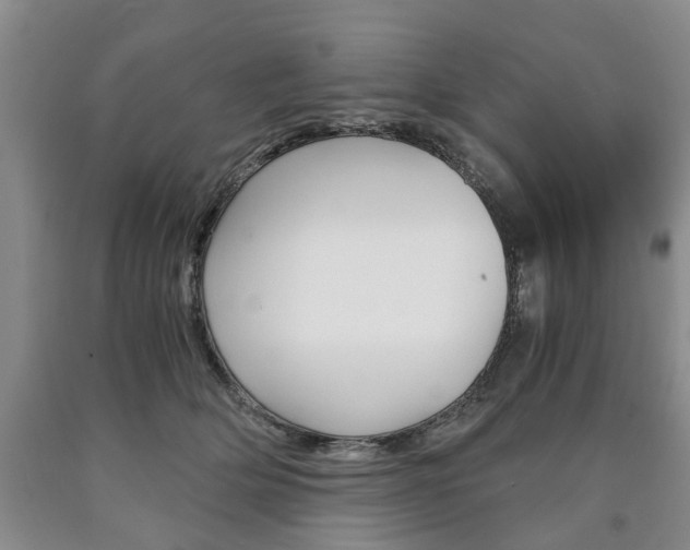 X0000090860514200707270936
