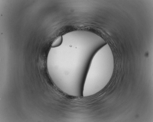 X0000090860515200707270936