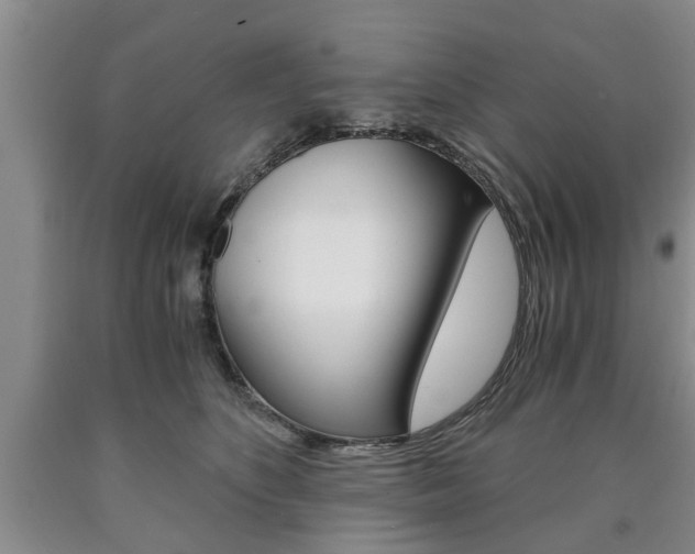 X0000090860516200707270936