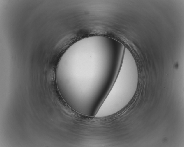 X0000090860517200707270936