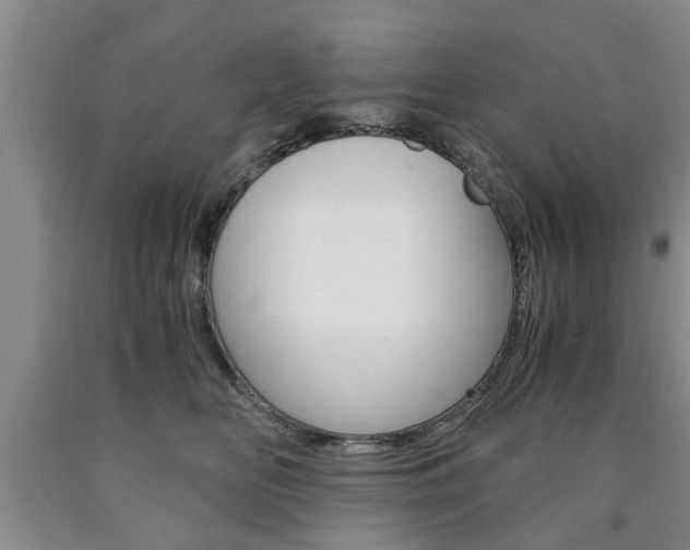 X0000090860518200707270936
