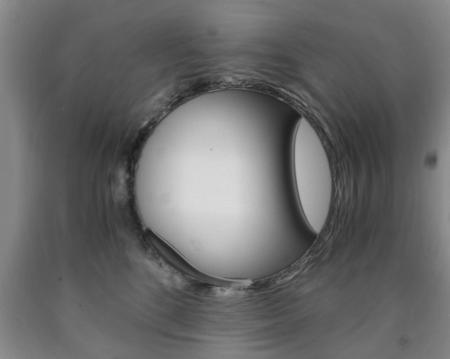 X0000090860520200707270936