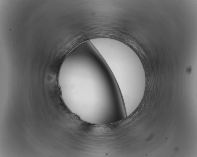 X0000090860521200707270936