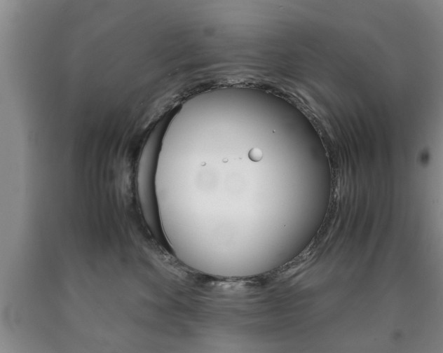 X0000090860524200707270936