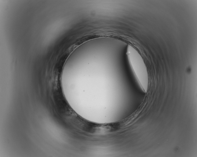 X0000090860525200707270936