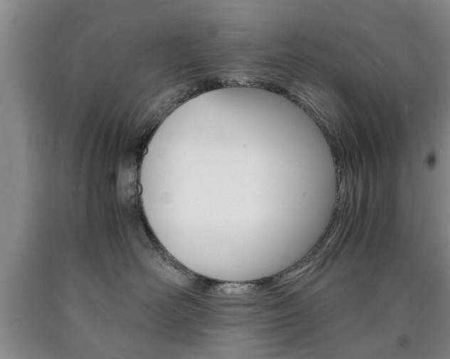 X0000090860526200707270936