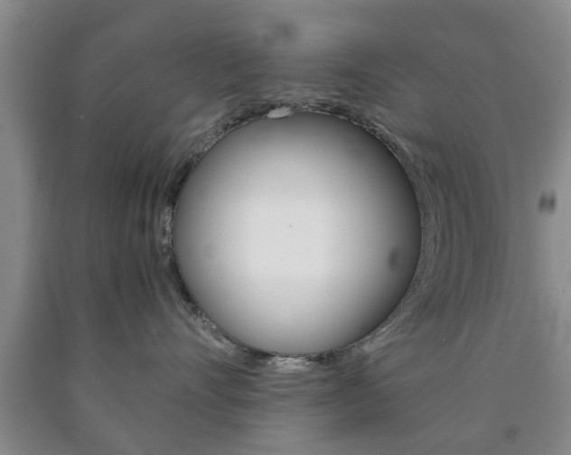 X0000090860528200707270936
